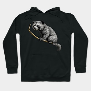 Binturong Chilling On A Branch Hoodie